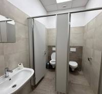 Irodai mosdók mosdóval és fülkékkel, fa dekoros padlóval.