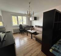 Nappali egy egyszobás lakásban kanapéval, asztallal és fa dekoros padlóval.