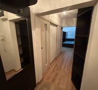 1 szobás lakás belső tere fa dekor padlóval, tükörrel és tárolóhelyekkel.