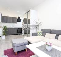 Nappali egy kétszobás lakásban konyhabútorral és fa dekorációjú padlóval.