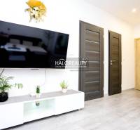 Nappali egy kétszobás lakásban, televízióval, két ajtóval és növényekkel.