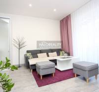 Nappali egy kétszobás lakásban kanapéval, dohányzóasztallal és növényekkel.