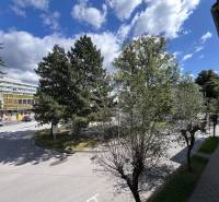 Kilátás egy 5 vagy több szobás lakásból a Medveckého utcán, Rózsahegyen, fákkal körülvéve.