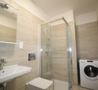 Fürdőszoba a garzonlakásban mosdóval, zuhanyzóval és mosógéppel.