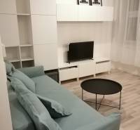 Garzonlakás szürke kanapéval, televízióval, fehér bútorokkal és fa dekoros padlóval.