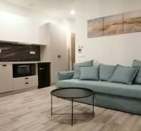 Garzonlakás konyhával, kék kanapéval, kerek asztallal és fa dekorációjú padlóval.