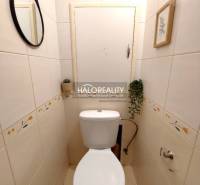 Fürdőszoba egy kétszobás lakásban WC-vel, tükörrel és falra helyezett növénnyel.