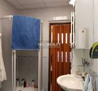 Fürdőszoba zuhanyzóval a házikóban, mosdóval és tárolószekrényekkel felszerelve.