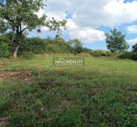 Lakótelek Csarhón, zölddel és kék éggel körülvéve.