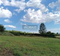 Lakótelek Csarhón zölddel, fákkal és felhős éggel.