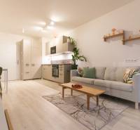 Nappali egy egyszobás lakásban kanapéval, konyhapulttal és fa dekorációjú padlóval.