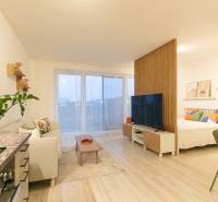 Egy szobás lakás belső tere fa mintázatú padlóval és hangulatos ülőhellyel.