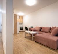 Nappali egy kétszobás lakásban kényelmes kanapéval és fa dekoros padlóval.