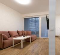 2 szobás lakás fa dekorációjú padlóval, kanapéval és falra szerelt televízióval.