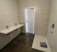 Fürdőszoba nagy mosdókagylóval és zuhanytálcával egy kétszobás lakásban.