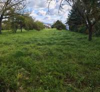 Zöldterület és fák a lakótelek területén a Malá Domaša utcán, Vranov nad Topľou.