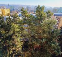 Torony panelházakkal és fákkal Pozsony-Dúbravkában a Tranovského utcában, nem messze a 3 szobás lakásoktól.