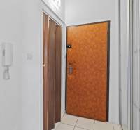 1 szobás lakás belső tere fa dekorációjú ajtókkal és beépített szekrénnyel.