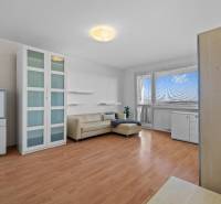 Nappali egy egyszobás lakásban fa dekorációjú padlóval, kanapéval és vitrinnel.