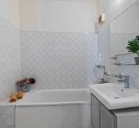 Fürdőszoba mintás csempékkel, káddal és növénnyel egy egyszobás lakásban.