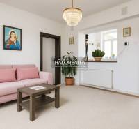 Világos nappali egy családi házban szürke kanapéval és zöld növényekkel.