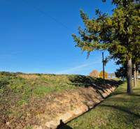 Lakóterületek Velčice községben, füves domboldal és fák az út mentén.