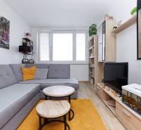 Nappali fa dekorációjú padlóval, szürke kanapéval és bútorokkal egy kétszobás lakásban.