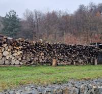 Kert egy családi ház mellett Sokolban, a Kopaninova utcában, tárolt fával és az erdő környékével.