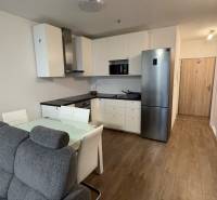 Nappali konyhával, kanapéval és fa dekorációjú padlóval egy egyszobás lakásban.