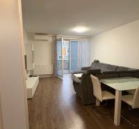 Nappali egy egyszobás lakásban fa mintázatú padlóval, szürke kanapéval és étkezőasztallal.