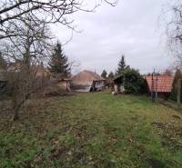 Kert a családi ház mellett Alsópélben, gyep és gyümölcsfák.