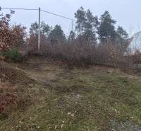 Füves lejtő a Fő utcai ház mellett Újkelcsén, fákkal körülvéve.