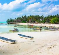 Strand hajókkal és pálmafákkal Kizimkaziban, ideális kereskedelmi telkek számára.