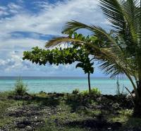 Kizimkazi partvidéke alkalmas kereskedelmi célú telkek számára, óceánra néző kilátással és pálmafákkal.