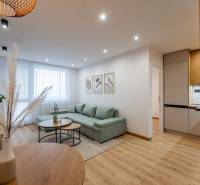 Nappali egy kétszobás lakásban kanapéval, bútorokkal és fa dekorációjú padlóval.