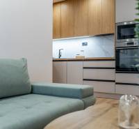 A kétszobás lakás nappalija kanapéval és fa dekoros konyhabútorral.