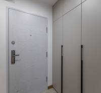 Fa bejárati ajtó és beépített szekrény a kétszobás lakás előszobájában.