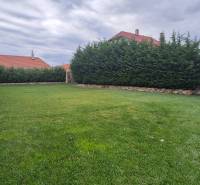 Családi ház Studienkában kerttel, rendezett gyepfelülettel és magas sövénnyel.