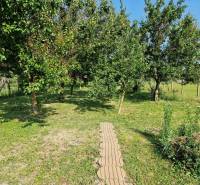 Családi ház kertje Vágszádelőn gyümölcsfákkal és gyepfelülettel.