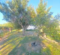 Családi ház kertje Gútán gyümölcsfákkal és füves területtel.