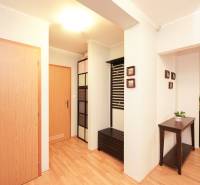 Családi ház belső tere fa dekorációjú padlóval, színes szekrényekkel és virágcseréppel.