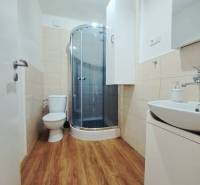 Fürdőszoba családi házban WC-vel, zuhanyzóval és fa dekorációjú padlóval.