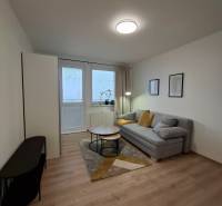 Garzonlakás kanapéval, dohányzóasztallal és fa dekorációjú padlóval.