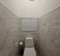 Garszonlakás WC-je fa dekor padlóval és márványt utánzó burkolattal.