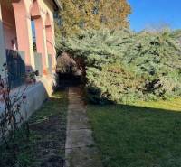 Családi ház Tomášovcén előkerttel és nagy fával a járda mellett.