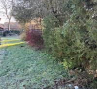 A családi ház kertje Tomášovcén sűrű növényzettel és füves területtel.