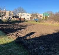 Tomášovciban, családi házak mellett található gyümölcsöskert egy derűs napon.