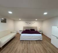 1 szobás lakás belső tere ággyal, kanapéval és fa dekorációjú padlóval.