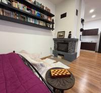 Kandalló, könyvtár és konyha egy egyszobás lakásban, fa dekorációjú padlóval.