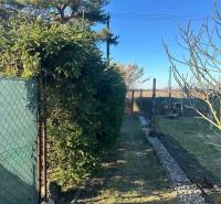 Újtelepi kertek Komáromban, kerítés zöld tűlevelűekkel és kőút.